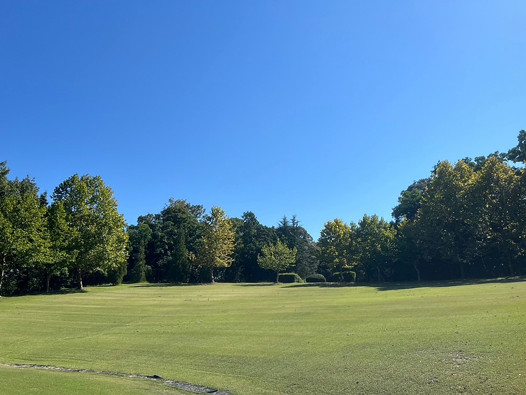 mori on ���N�P.jpg